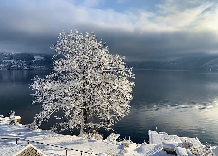 Seehaus Weiss